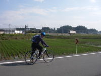 �����Ă�